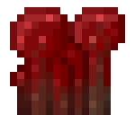 File:Nether Wart.png